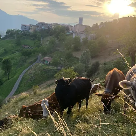 Borgo Di Diffuso Szálloda